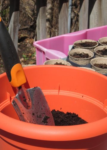 container garden, garden, gardening