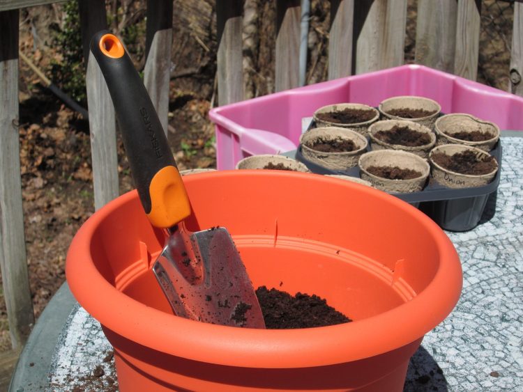 container garden, garden, gardening