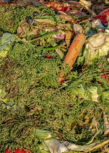 compost, garbage, biological