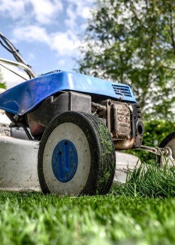 lawn mower, grass, garden