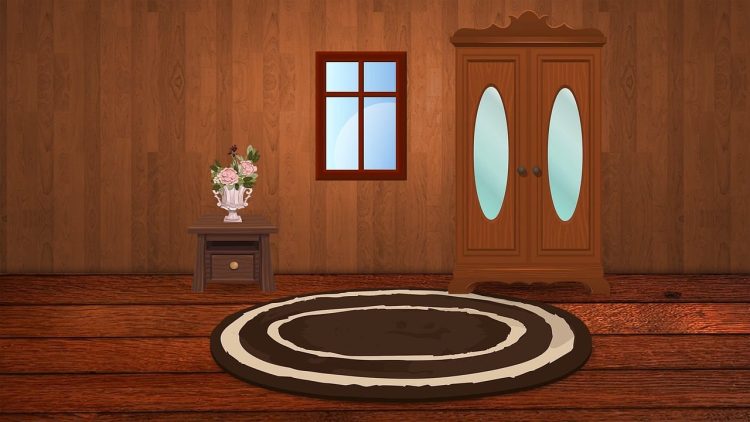 cupboard, rug, window