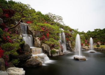 azalea, waterfall, garden