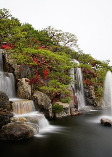 azalea, waterfall, garden