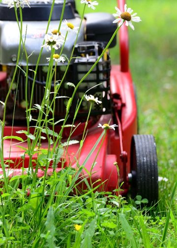 lawn mower, mow, gardening