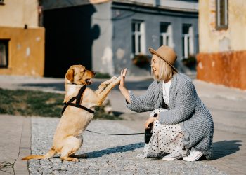 girl, dog, pet