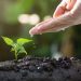 soil, plants, grow