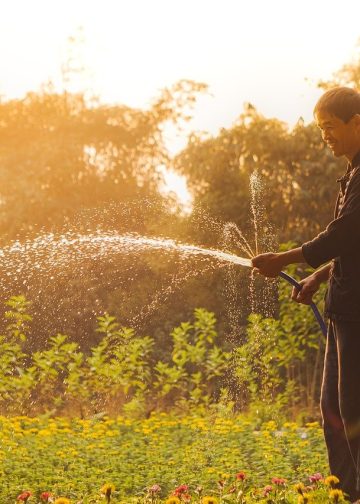 vietnam, man, gardening