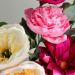 Forever Blooms: Why Unwilted’s Handcrafted Crepe Paper Flowers Are the Gift That Keeps Giving